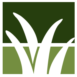 North Port Lawn Clean Up