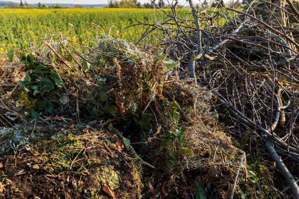 Brush Disposal in North Port