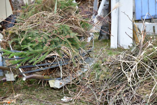 Yard Waste Removal Service in North Port
