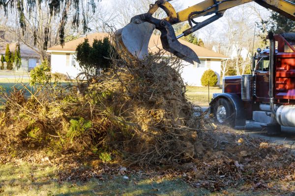 Storm Debris Removal in North Port