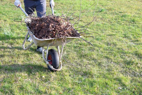 Yard Brush Removal in North Port