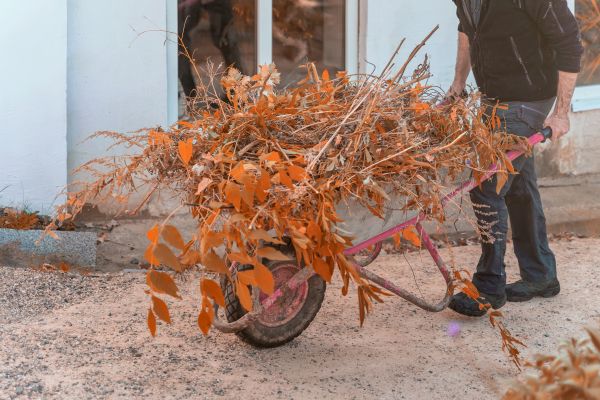 Cost of Lawn Debris Cleanup in North Port