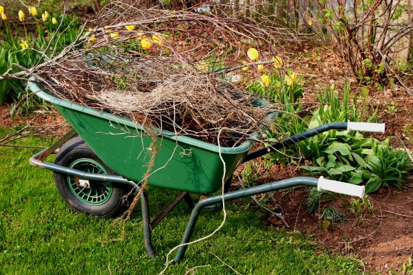 Lawn Waste Removal in North Port