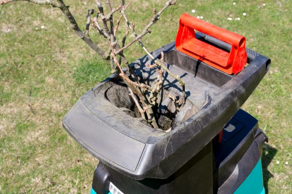 Cost of Brush Cleanup Service in North Port