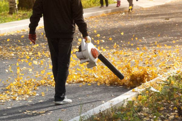 Commercial Leaf Removal in North Port