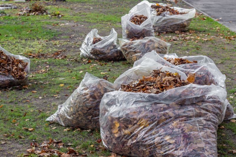 Leaves Being Bagged for Disposal
