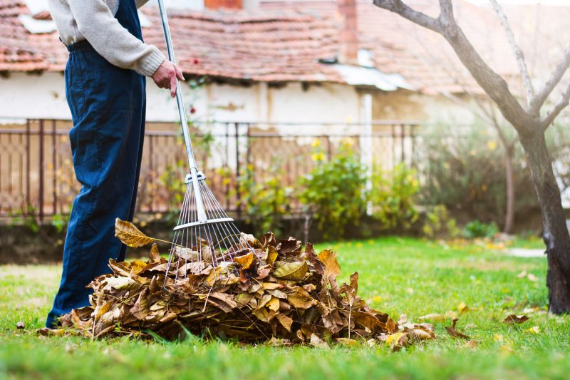Fall Lawn Cleanup Service detail