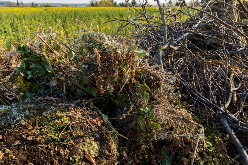 Lawn Debris Cleanup detail